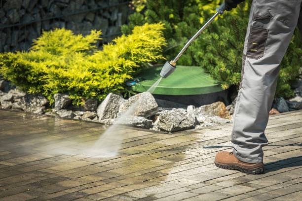 Best Parking Lot Cleaning in Callaway, MD