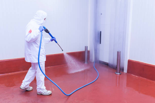 Best Warehouse Floor Cleaning in Callaway, MD
